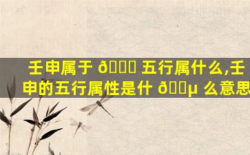 壬申属于 🐛 五行属什么,壬申的五行属性是什 🌵 么意思